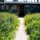 Illustration for article titled How An Artist Blanketed Los Angeles In Wildflowers